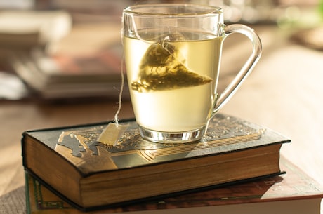 品味青山绿水茶，感受大自然的亲切