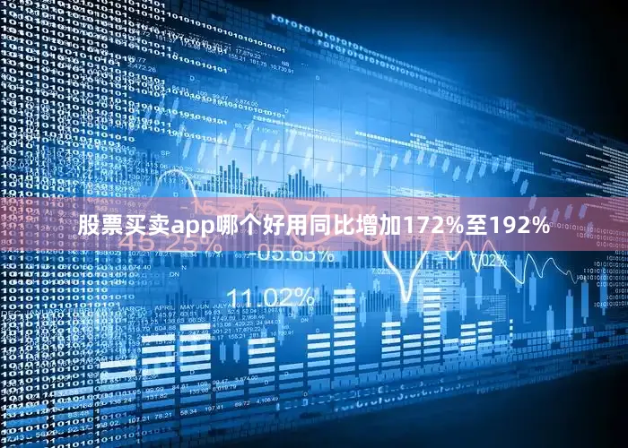 股票买卖app哪个好用同比增加172%至192%